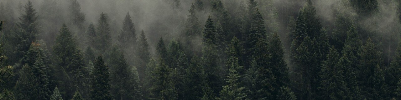 Обложка профиля