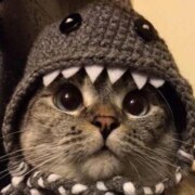 Руденко Олег Георгиевич Руденко Олег Георгиевич