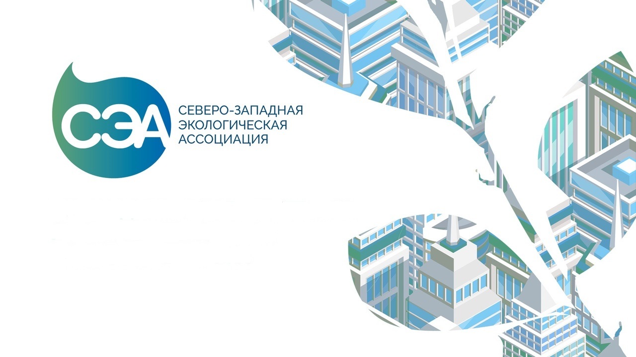 Презентация итогов проекта "Фиторемедиация водоемов Петер...