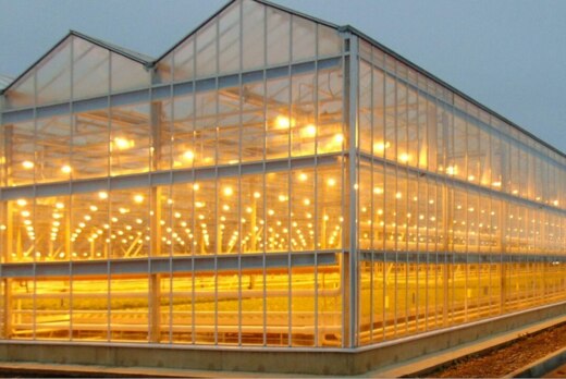 Эксплуатационный уход за сооружениями защищенного грунта