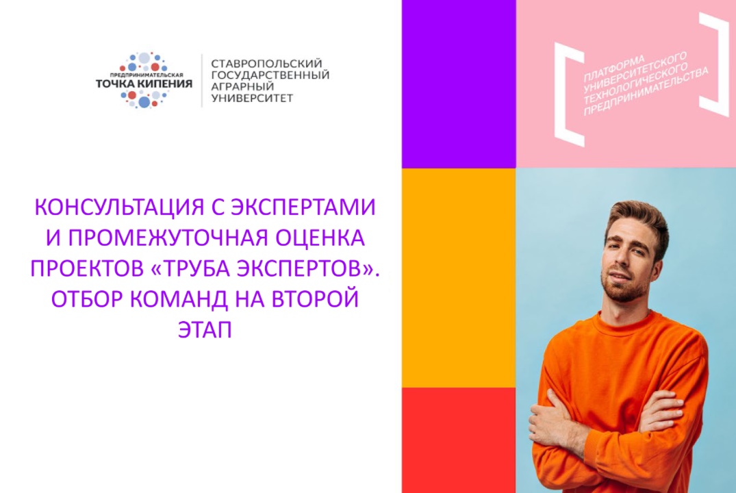 Консультация с экспертами и промежуточная оценка проектов...