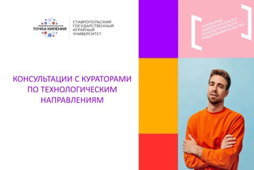 Консультации с кураторами по технологическим направлениям