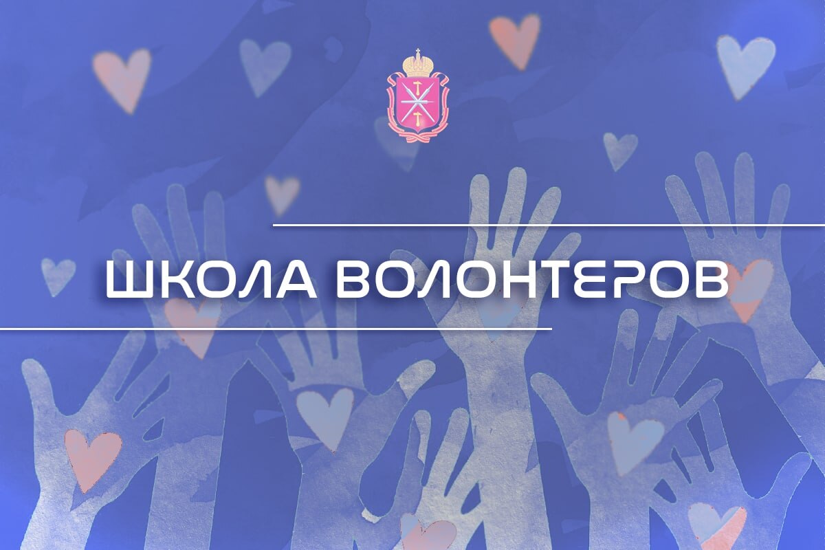 Школа волонтеров