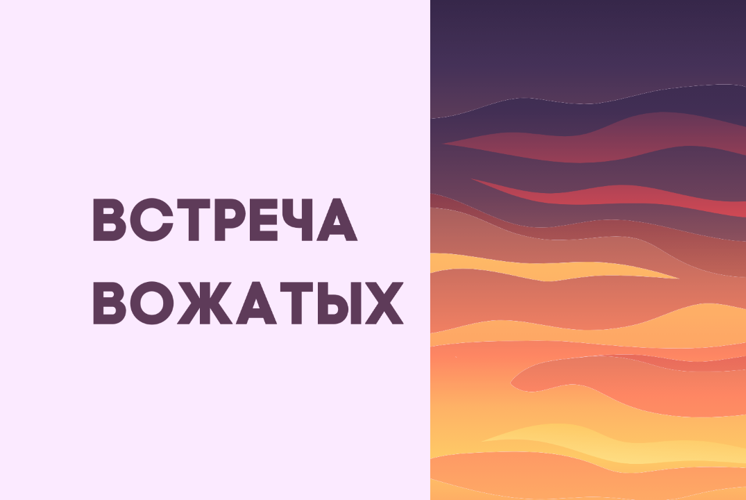 Встреча вожатых