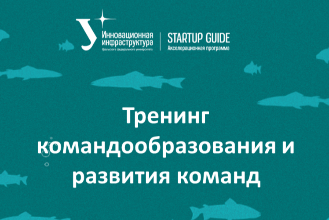 Тренинг командообразования и развития команд