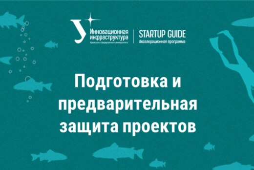 Подготовка и предварительная защита проектов