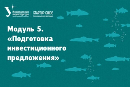 Модуль 5. «Подготовка инвестиционного предложения»