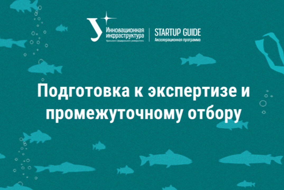 Подготовка к экспертизе и промежуточному отбору