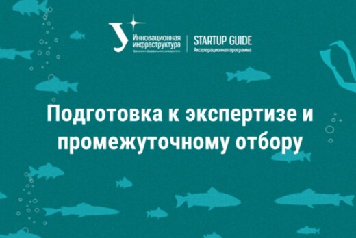 Подготовка к экспертизе и промежуточному отбору