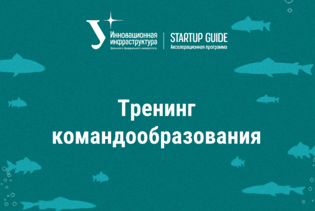 Тренинг командообразования