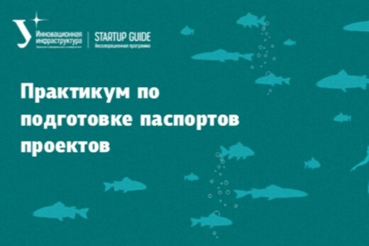 Практикум по подготовке паспортов проектов