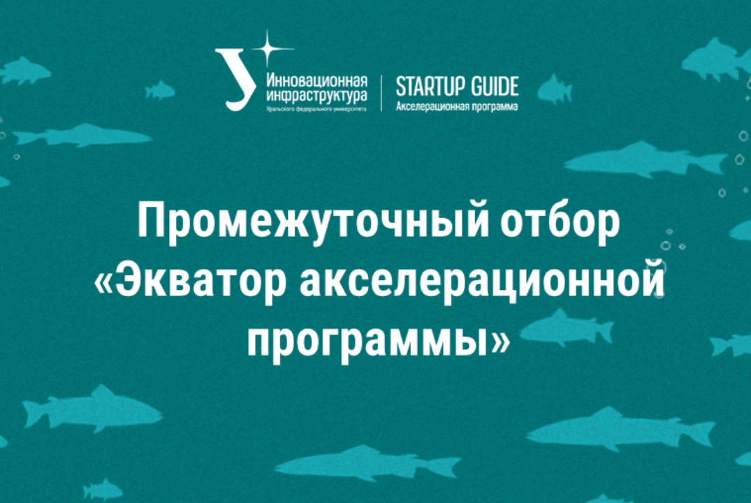 Промежуточный отбор «Экватор акселерационной программы»