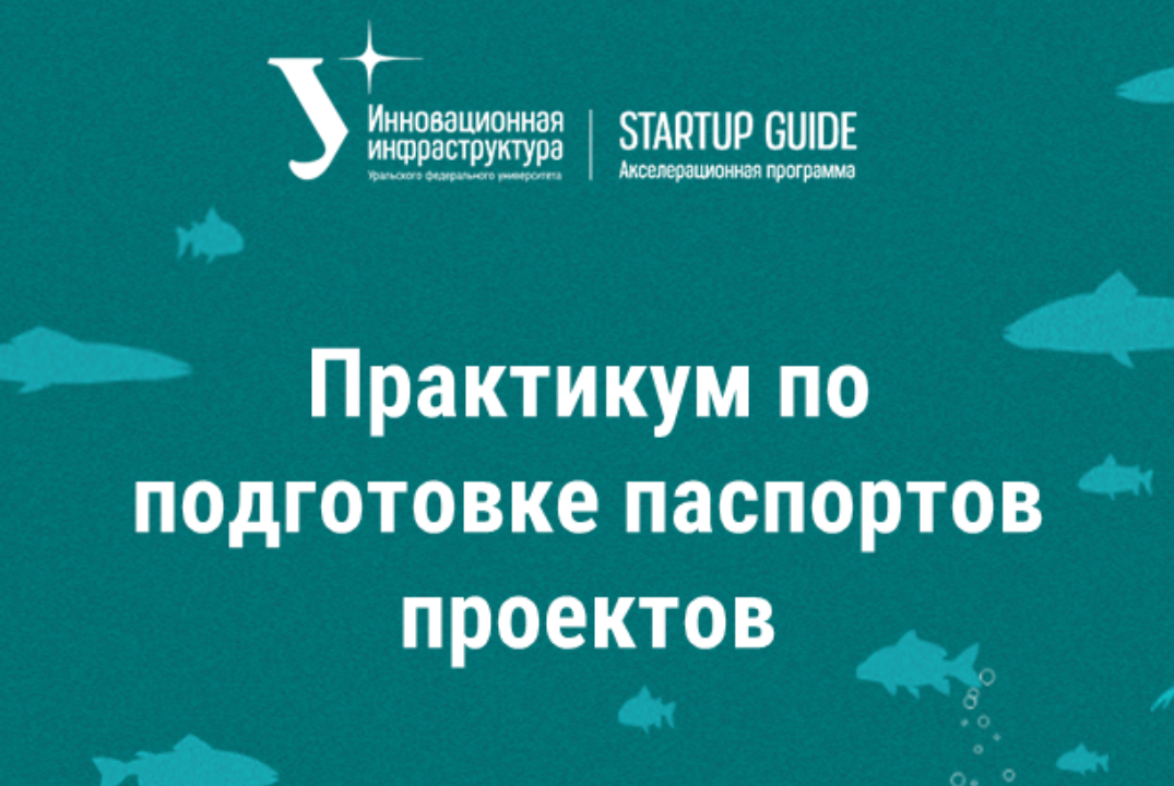 Практикум по подготовке паспортов проектов