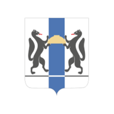 Правительство Новосибирской области