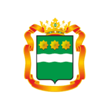 Правительство Амурской области