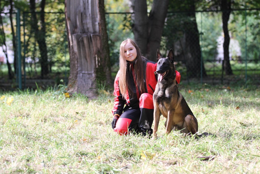 Проблемы поведения собак и его коррекция