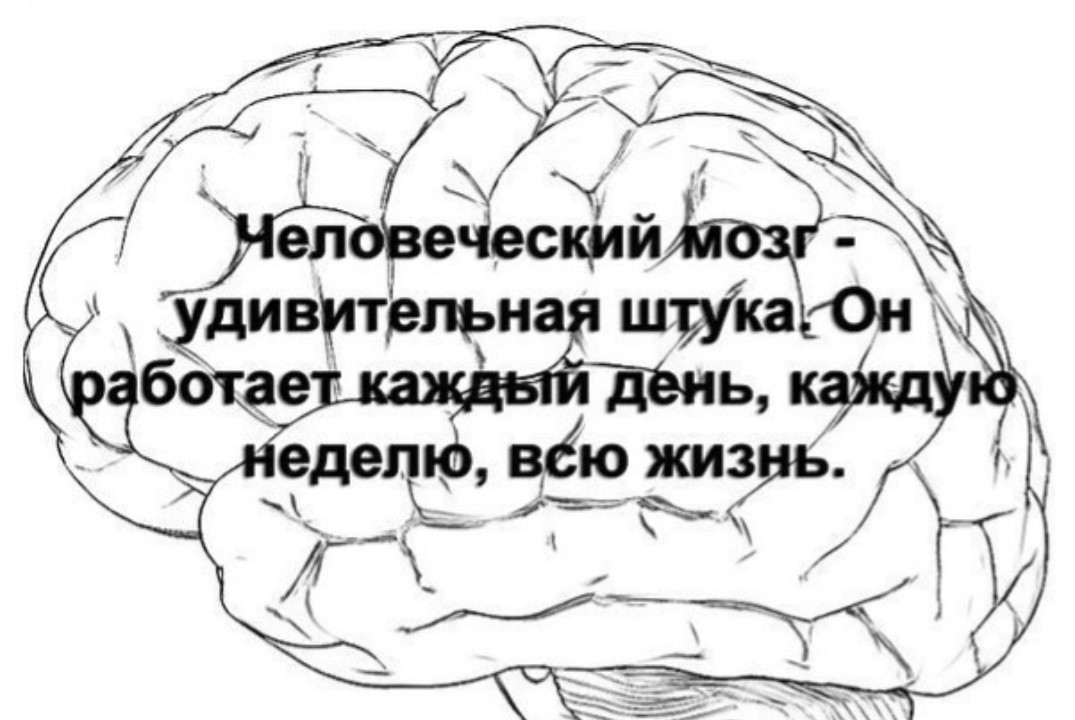 «Все не так, как кажется: секреты восприятия»