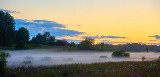 Анкета участника «Похода в Будущее» 2024