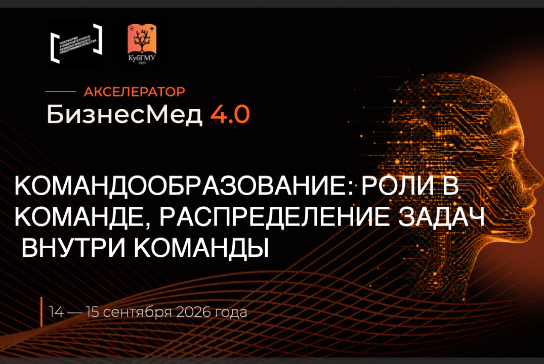 Командообразование: роли в команде, распределение задач внутри команды #АП
