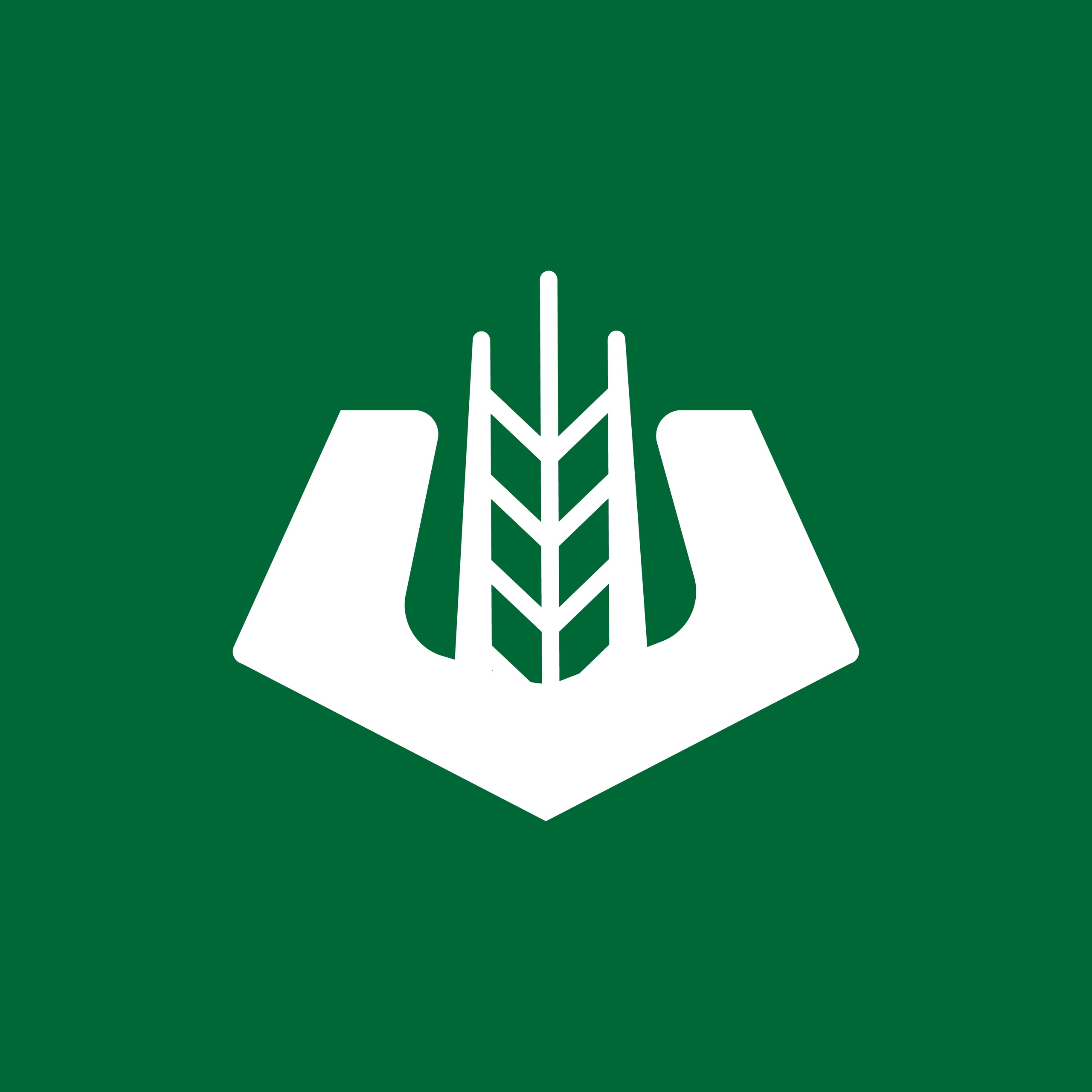 Знакомство с направлениями работы студенческих отрядов РГАУ-МСХА имени К.А.Тимирязева (день первый)