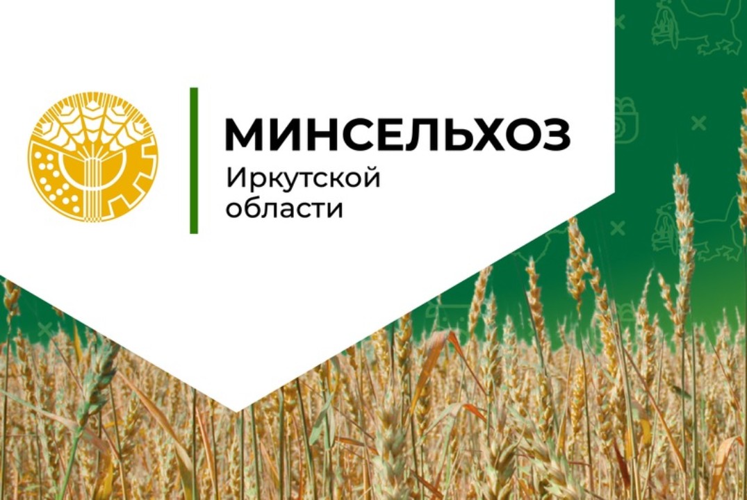 Семинар со специалистами финансово-экономических (финансово-бухгалтерских) служб по изменениям в годовой отчетности