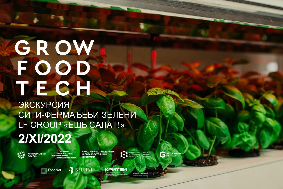 Экскурсия на на сити-ферму зелени LF Group "Ешь салат" |...