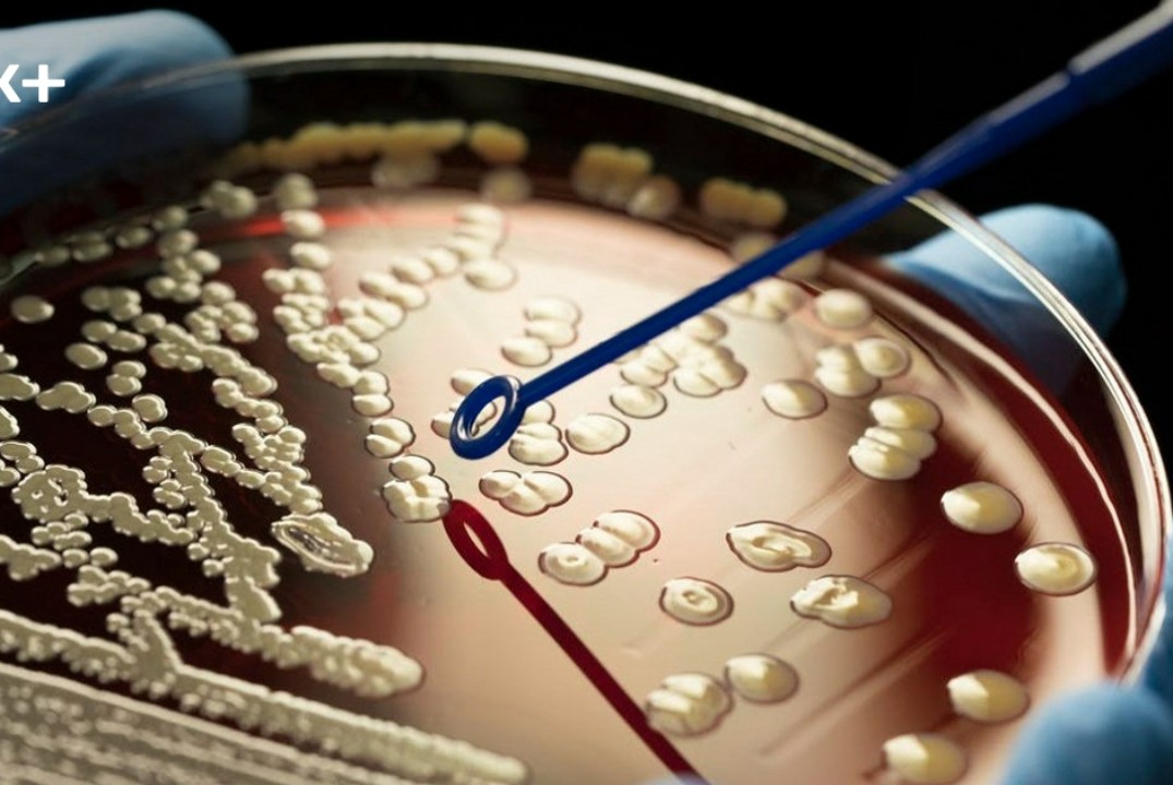 77-ая студенческая научная конференция, секция "Актуальны...