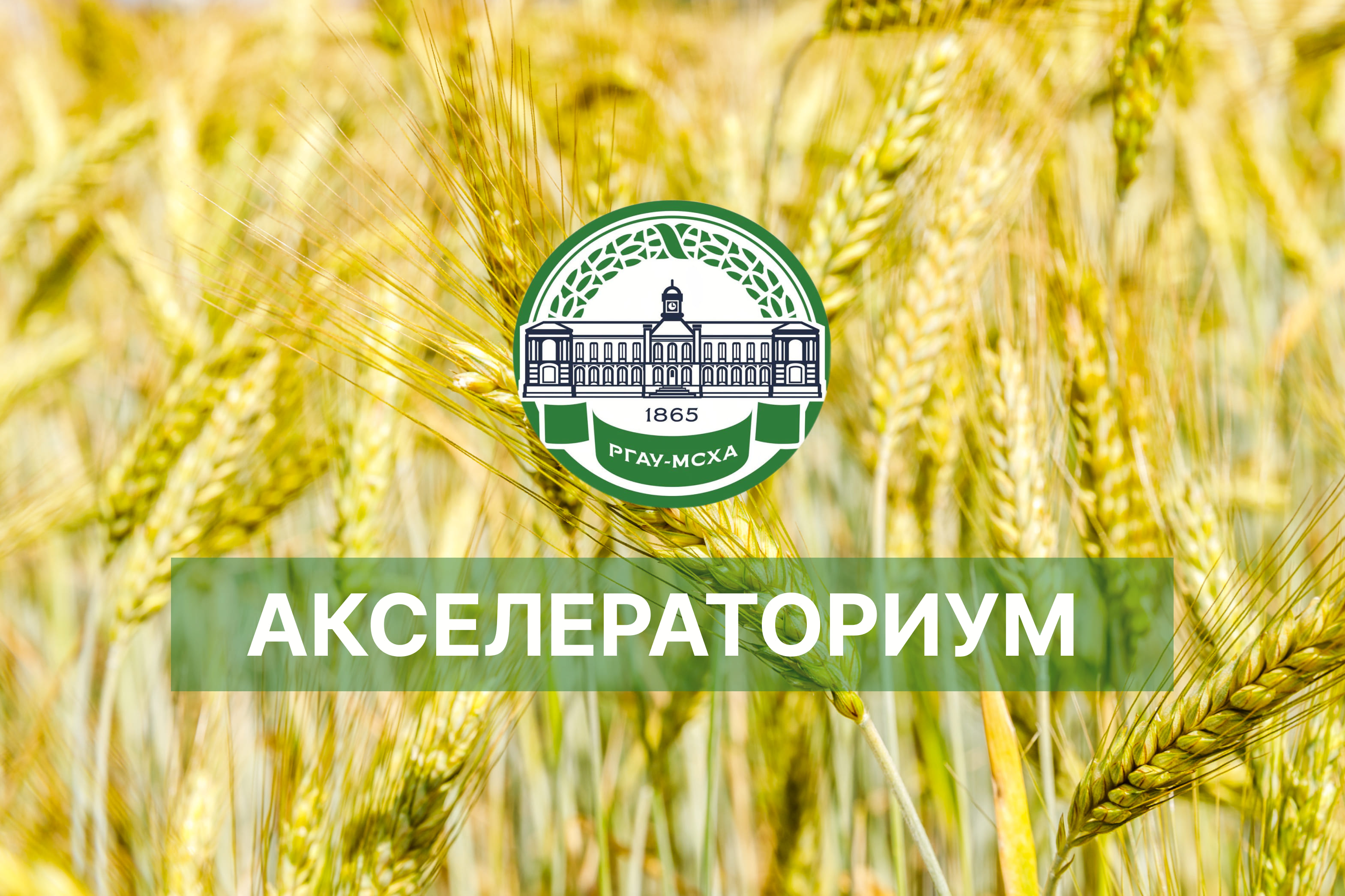 Акселераториум.  "Стратегия разработки и реализации старт...
