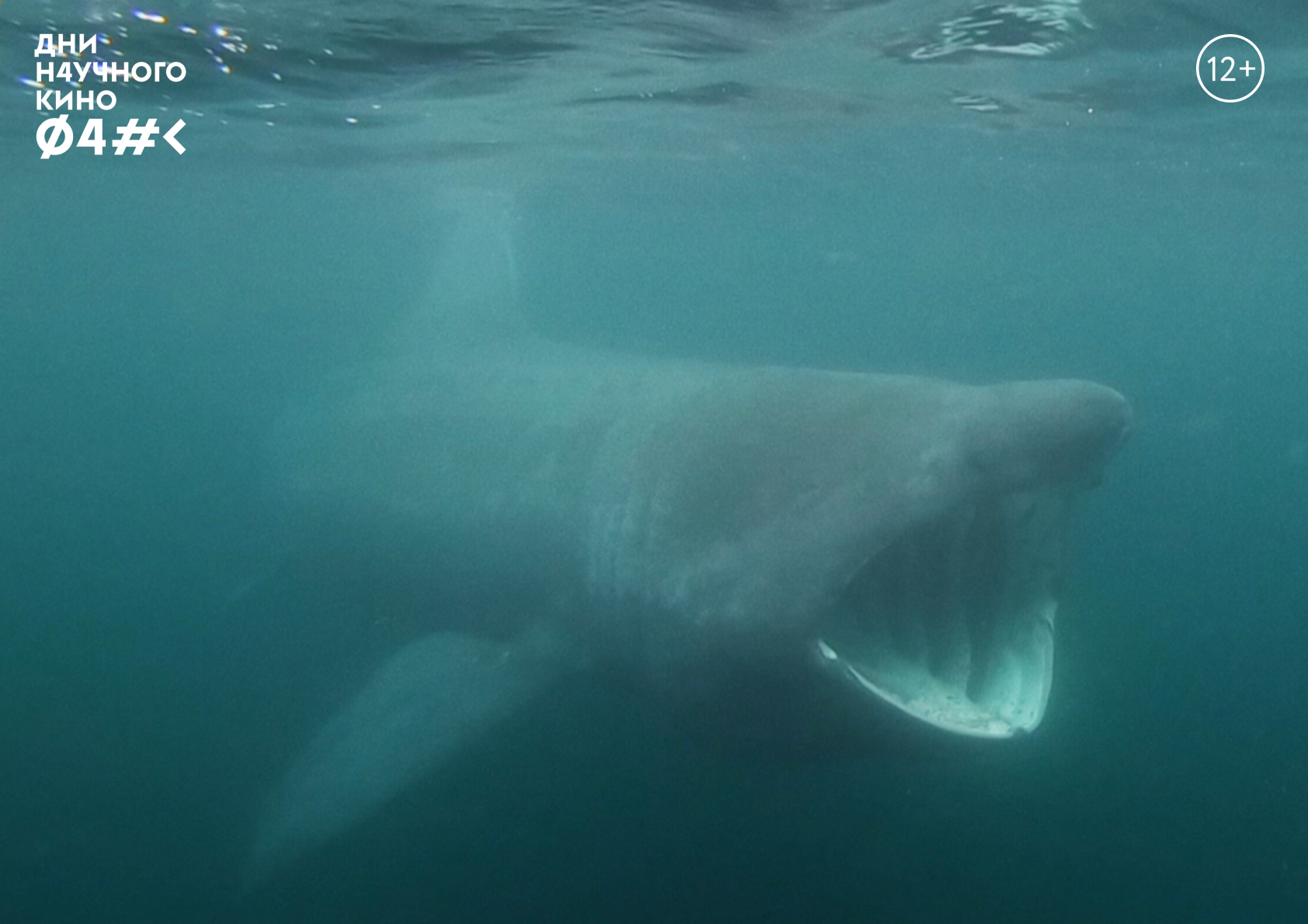 Дни научного кино ФАНК "PLASTIC PIONEERS/ ПИОНЕРЫ ПЛАСТИК...