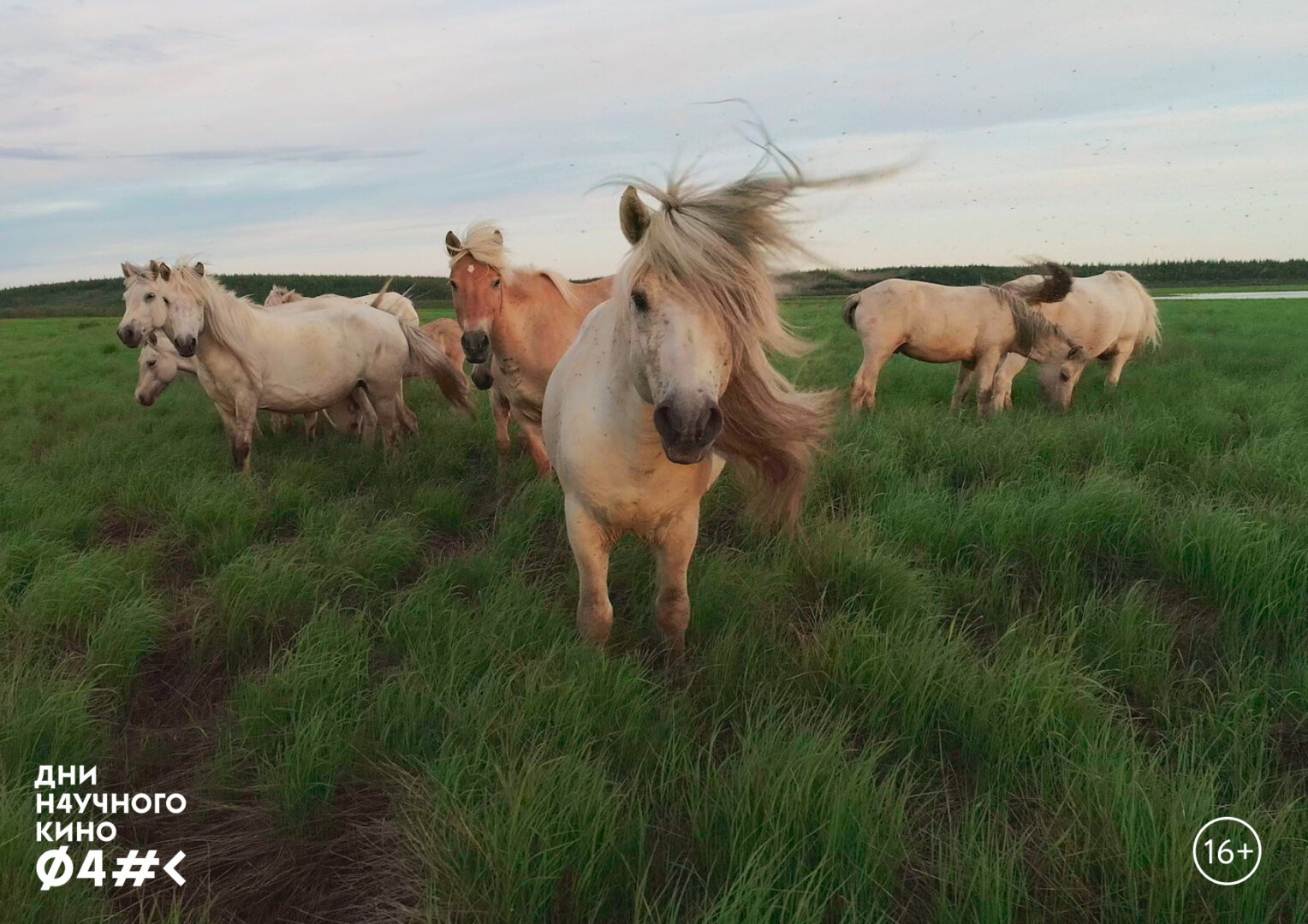 Дни научного кино ФАНК "PLEISTOCENE PARK/ ПЛЕЙСТОЦЕНОВЫЙ ПАРК"