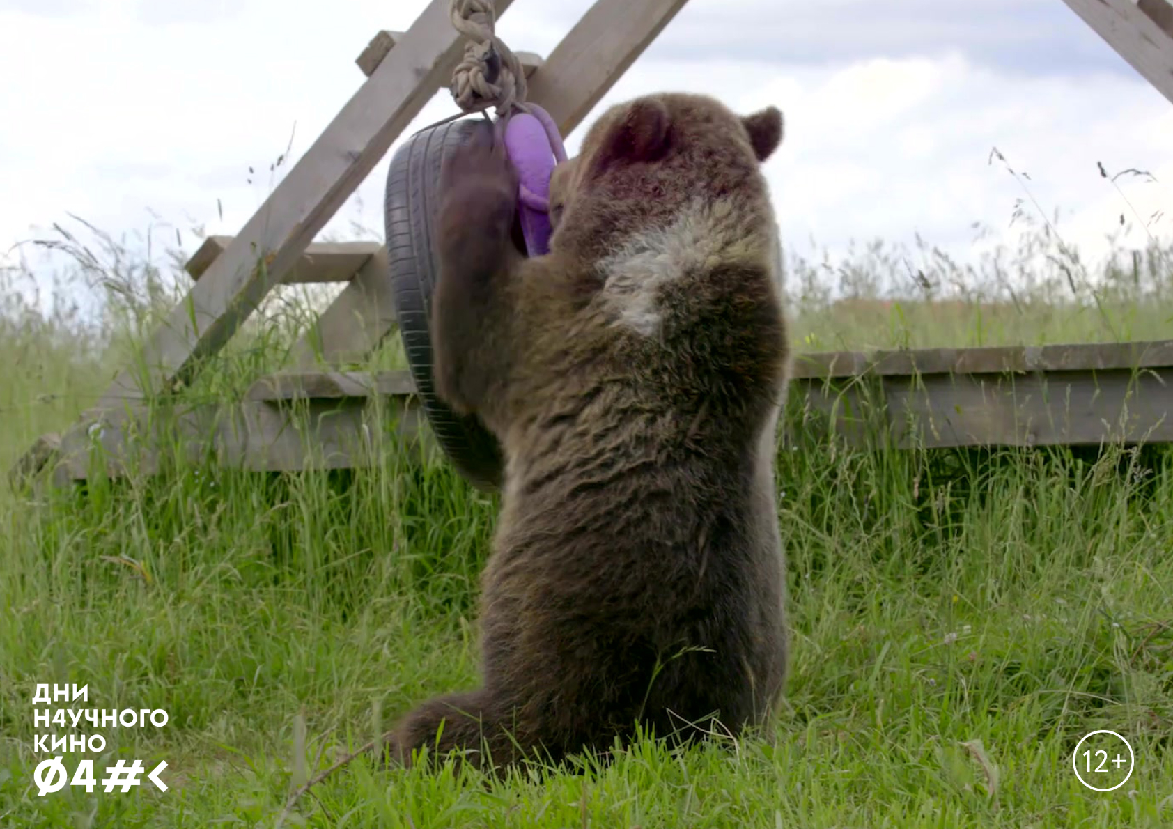 Дни научного кино ФАНК "ТОТЕМ. СТРАНА МЕДВЕДЕЙ"