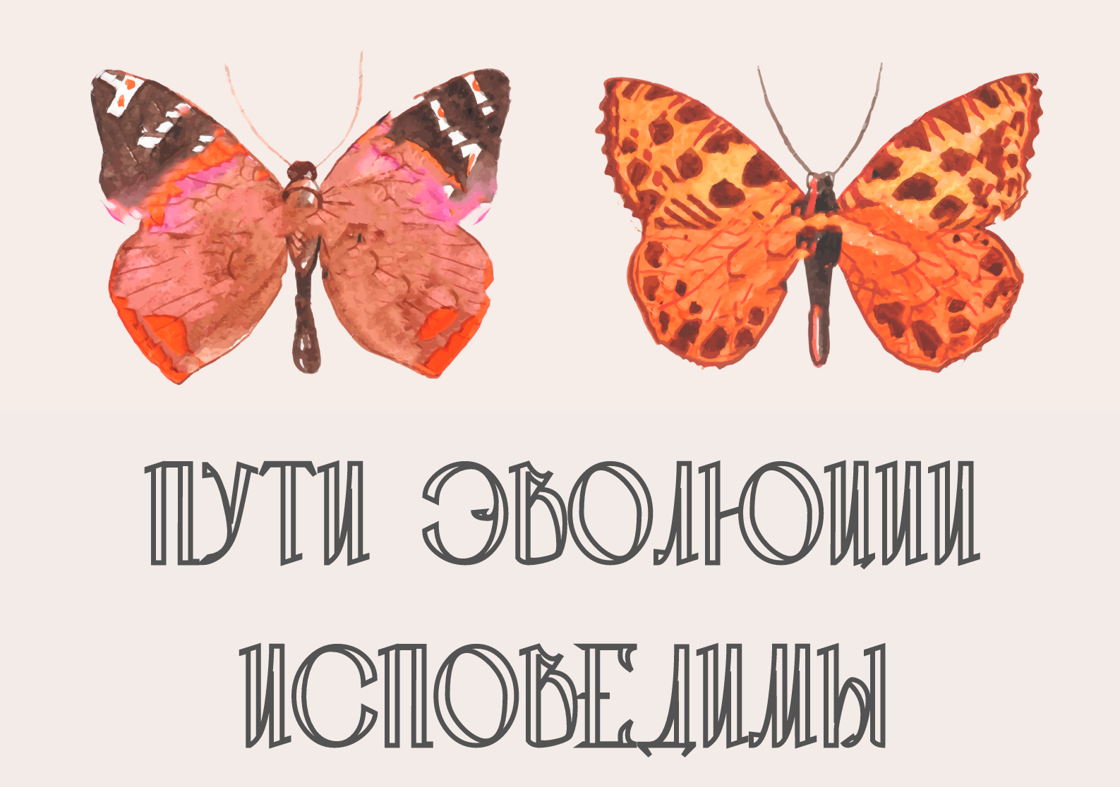 Пути эволюции исповедимы: почему насекомые приходят к соц...