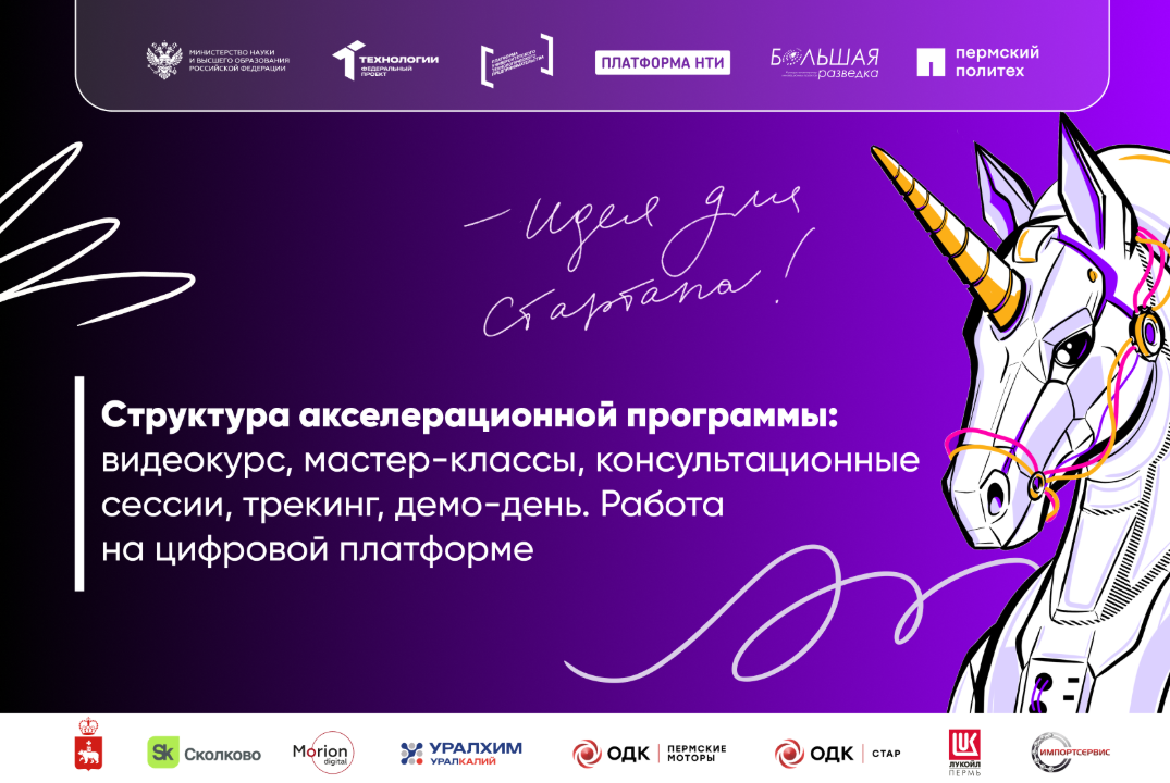 Структура акселерационной программы. Проработка проектной идеи