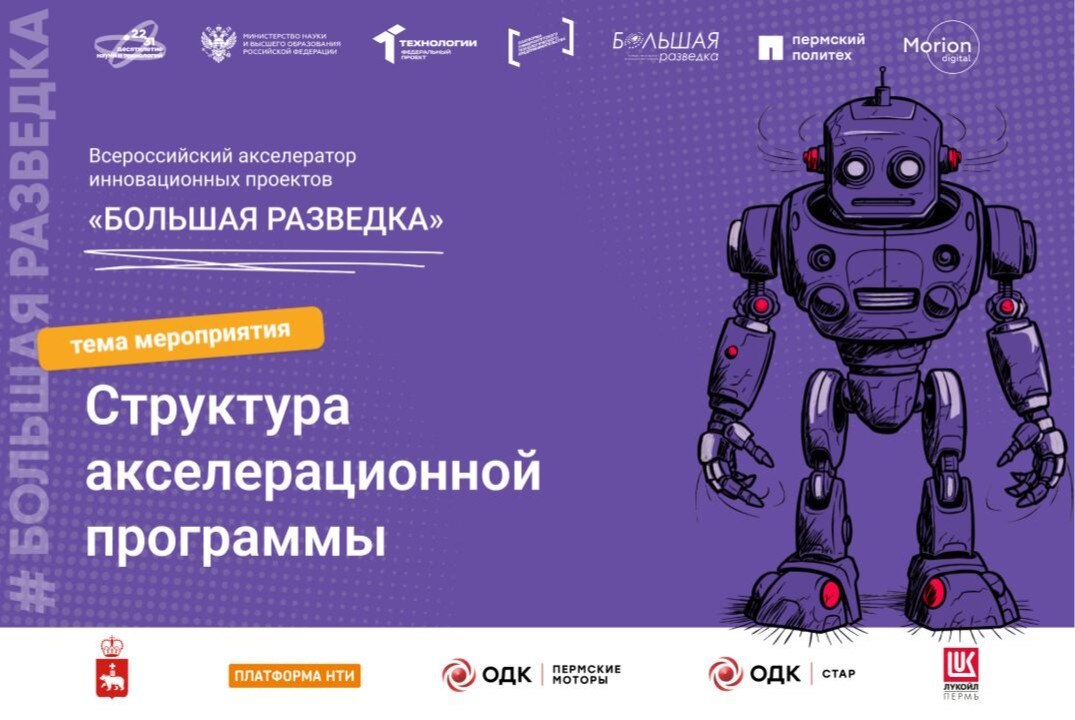 Структура акселерационной программы