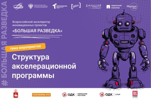 Структура акселерационной программы