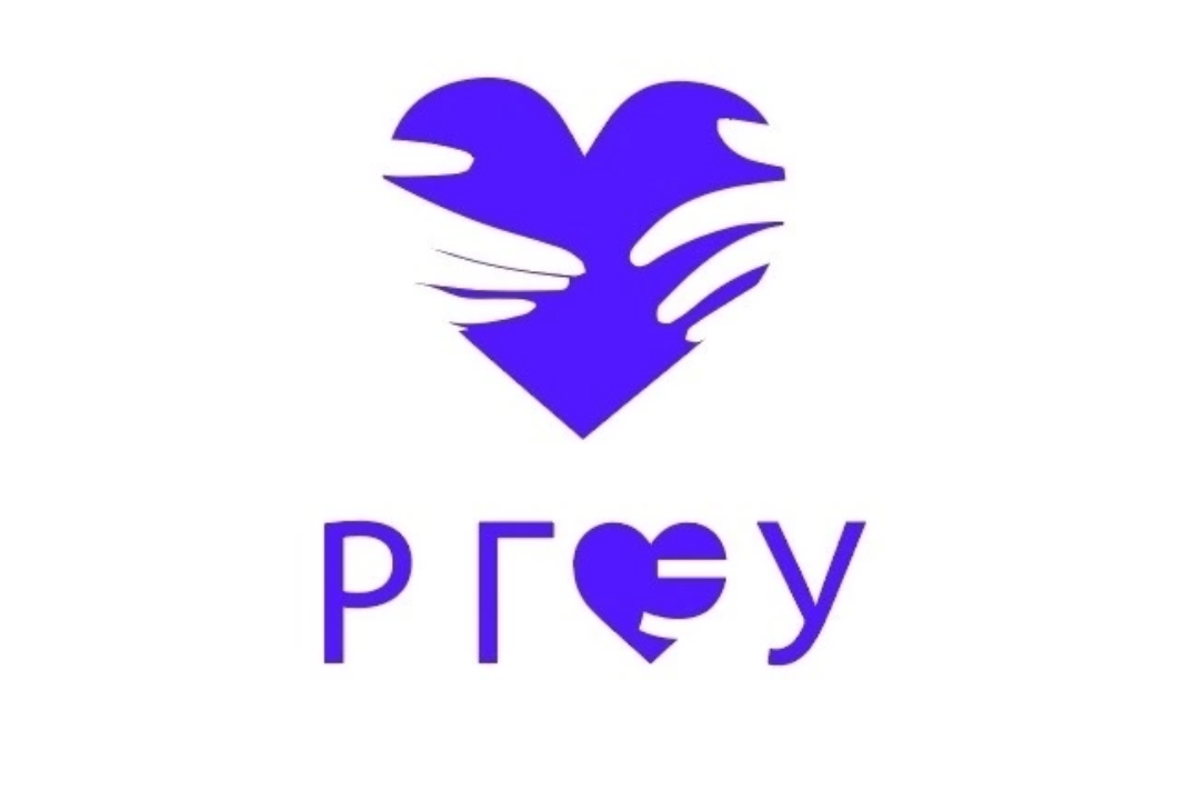 Собрание Волонтерских центров РГЭУ (РИНХ), ЮФУ и ДГТУ