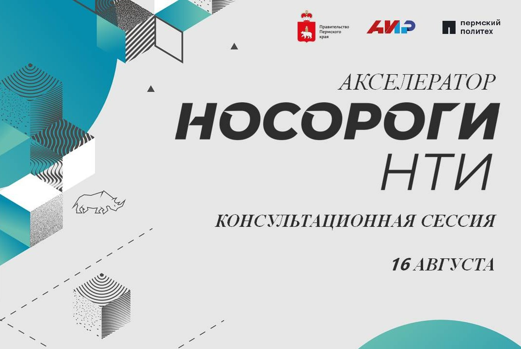 Консультационная сессия Акселератора "Носороги НТИ"