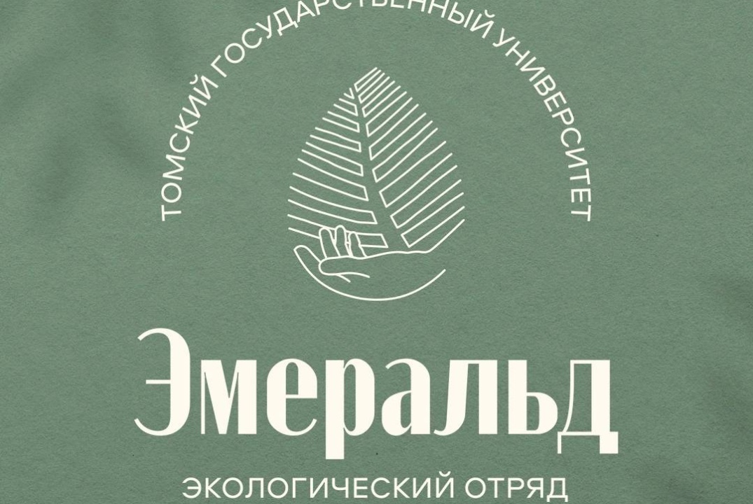 Собеседование СЭО «Эмеральд»