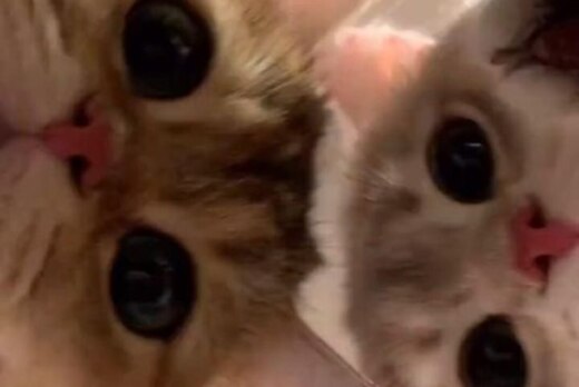 Собрание первокурсников ГУАП группы 4317