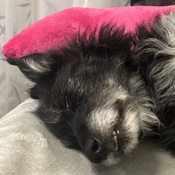 Тропина Марина Владиславовна