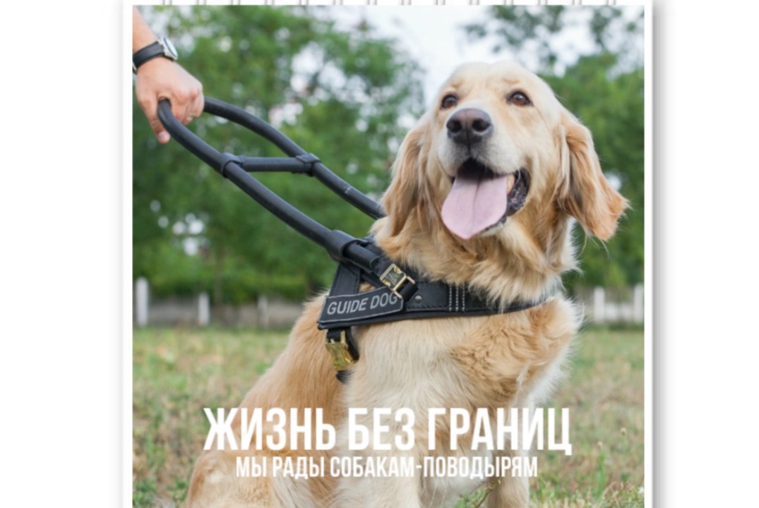 Жизнь без границ