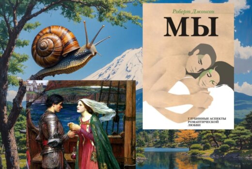 Читаем и обсуждаем книгу юнгианского психолога Р. Джонсон...