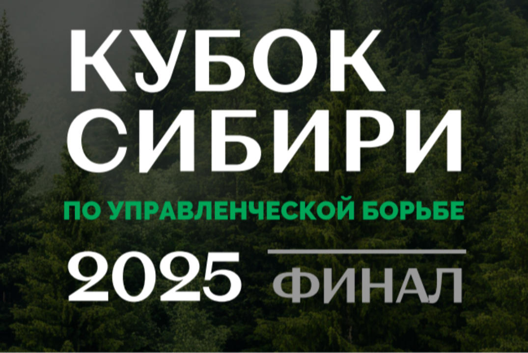 Подготовка к финалу кубка Сибири по управленческой борьбе