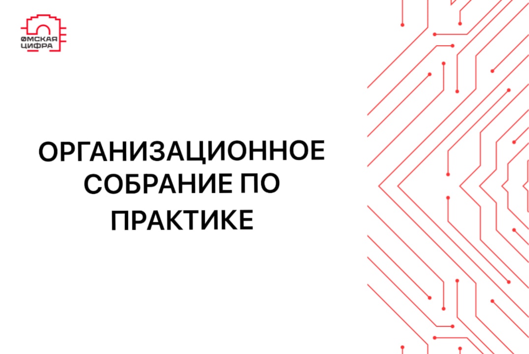 Организационное собрание для студентов ПИН-252т / Практик...