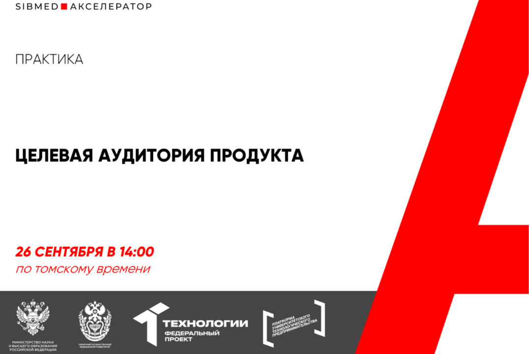 Целевая аудитория продукта #АП