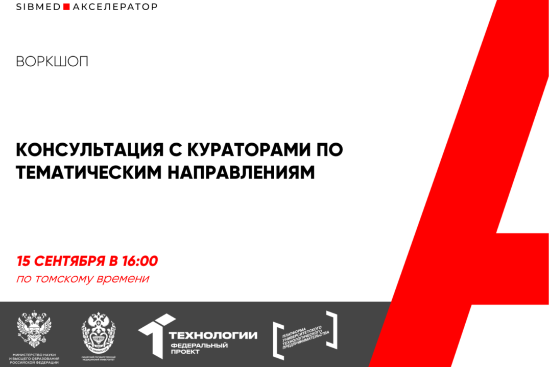 Консультация с кураторами по тематическим направлениям #АП