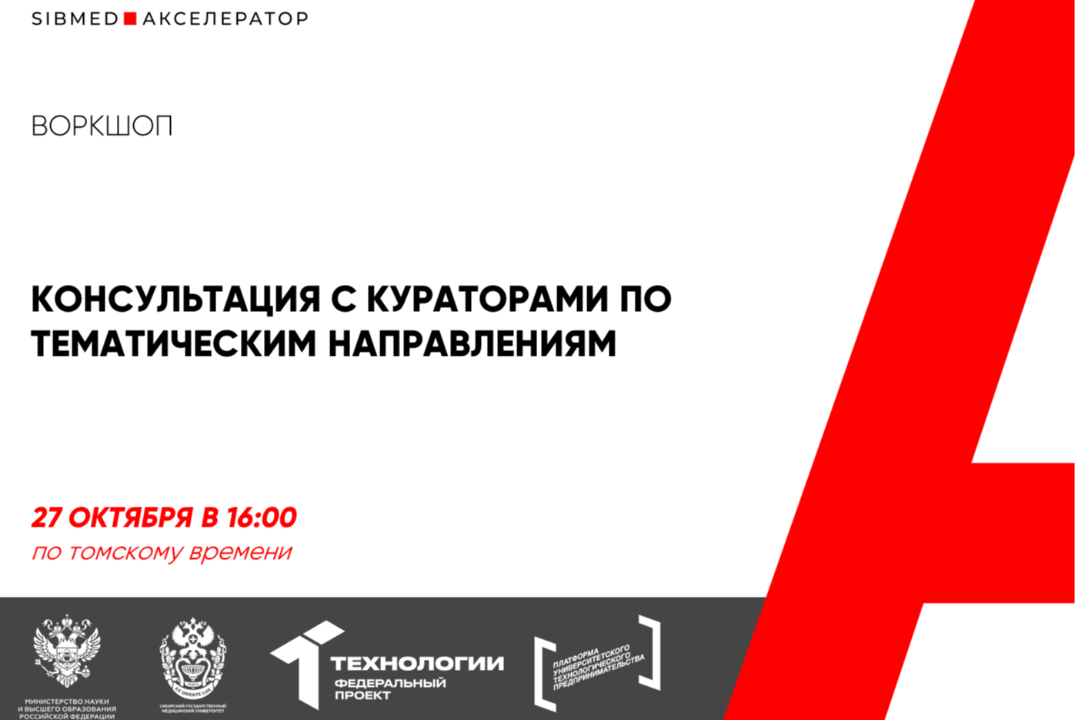 Консультация с кураторами по тематическим направлениям #А...