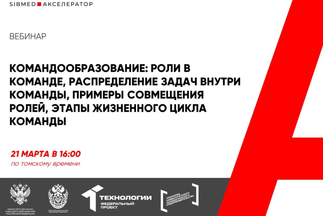 Командообразование: роли в команде, распределение задач внутри команды, примеры совмещения ролей, этапы жизненно #АП