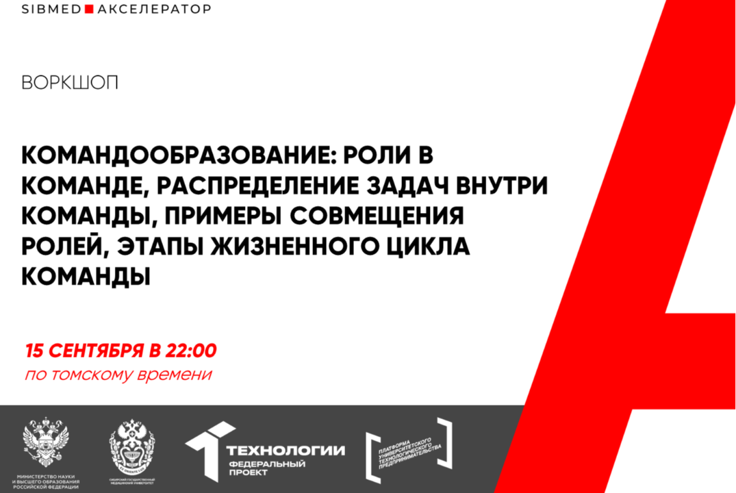 Командообразование: роли в команде, распределение задач внутри команды, примеры совмещения ролей, этапы жизне #АП