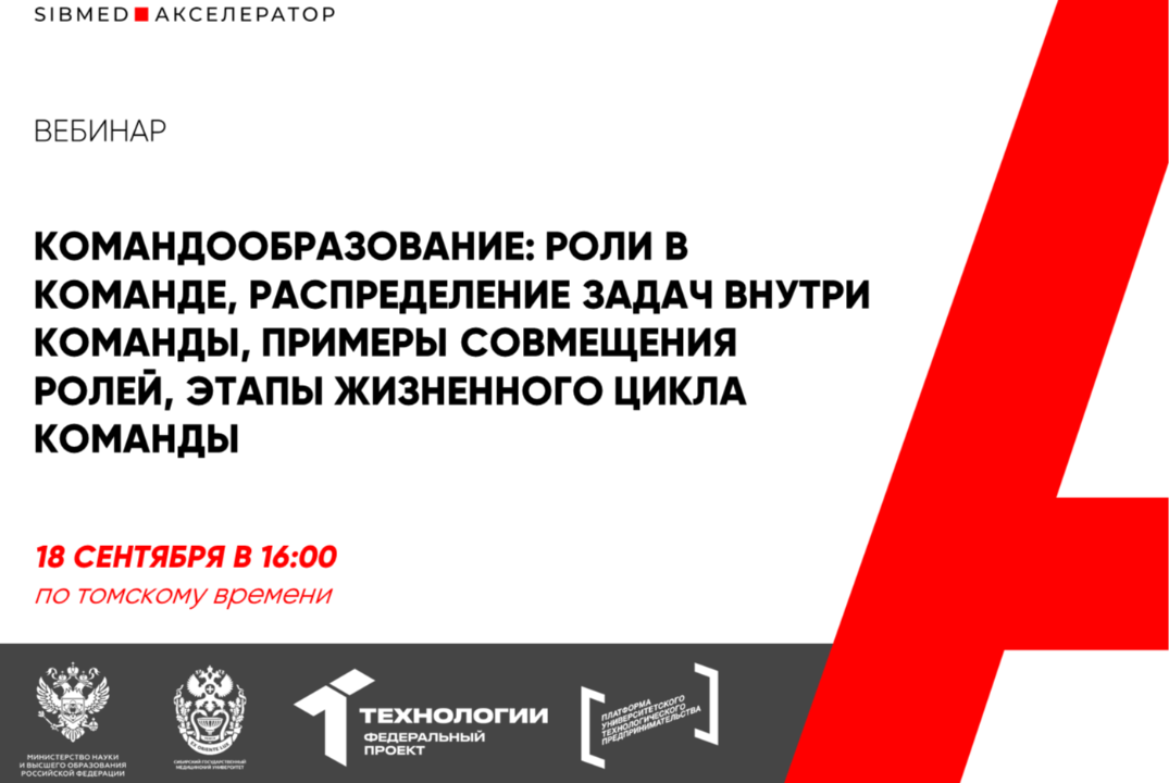 Командообразование: роли в команде, распределение задач внутри команды, примеры совмеще #АП